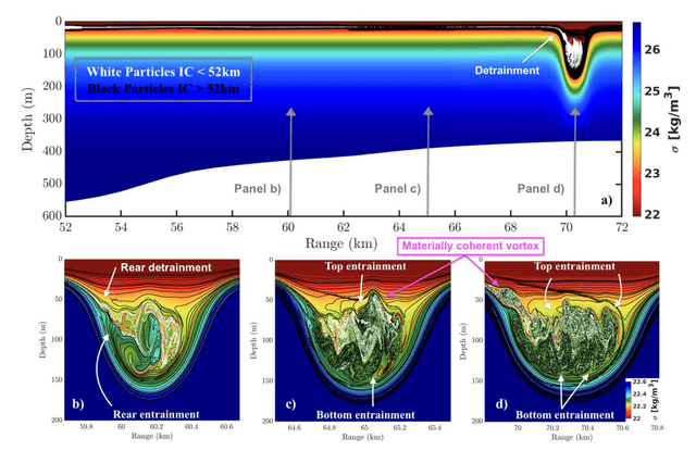 Eulerian and Lagrangian characterization of a high-amplitude convectively unstable shoaling internal solitary wave in two dimensions.